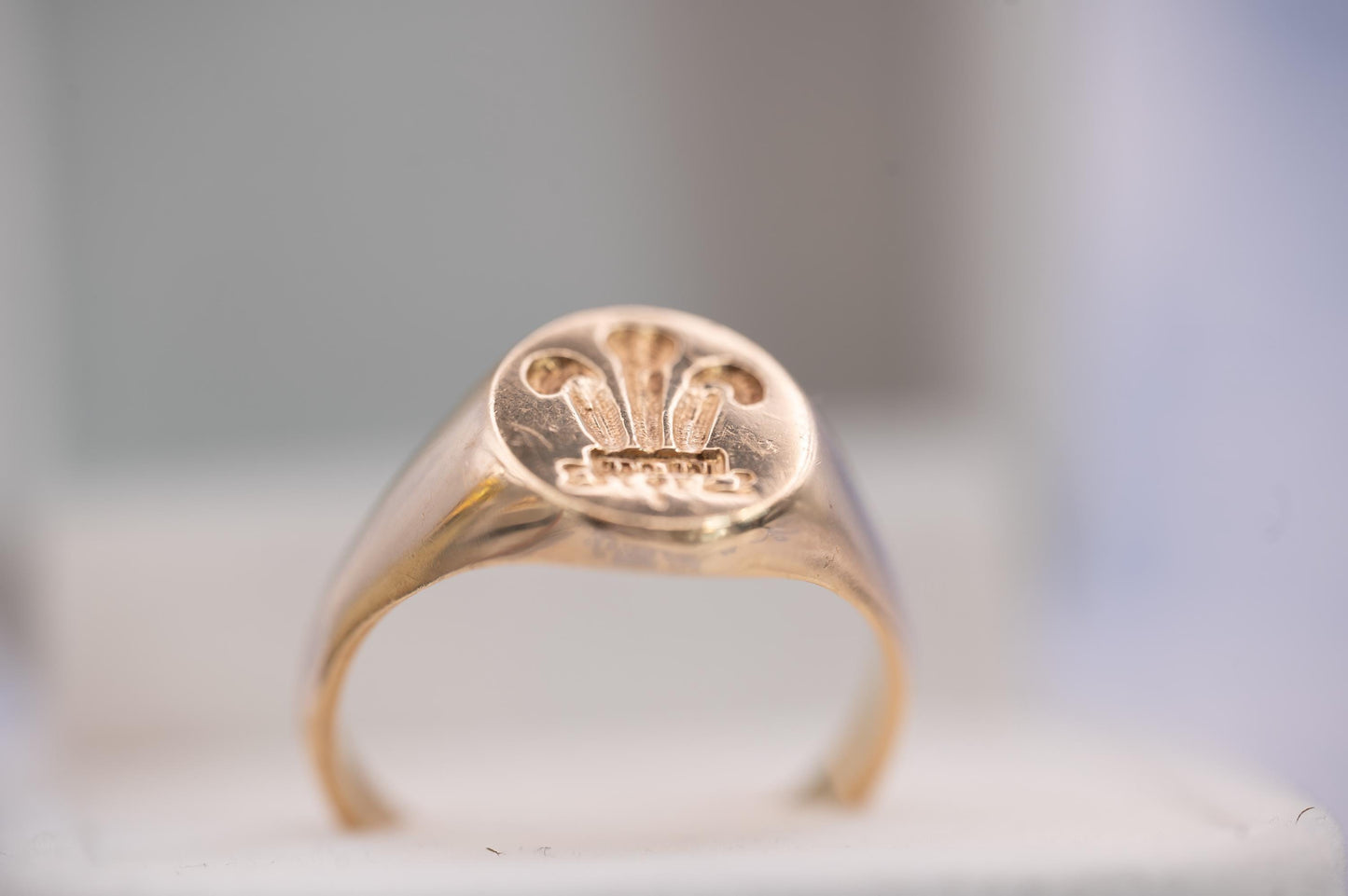 Vintage 90s Welsh Feathers Signet Ring Solid 9ct Yellow Gold, Wales Jewellery, Heritage Gold Solid 9K, Celtic Heirloom Jewelry