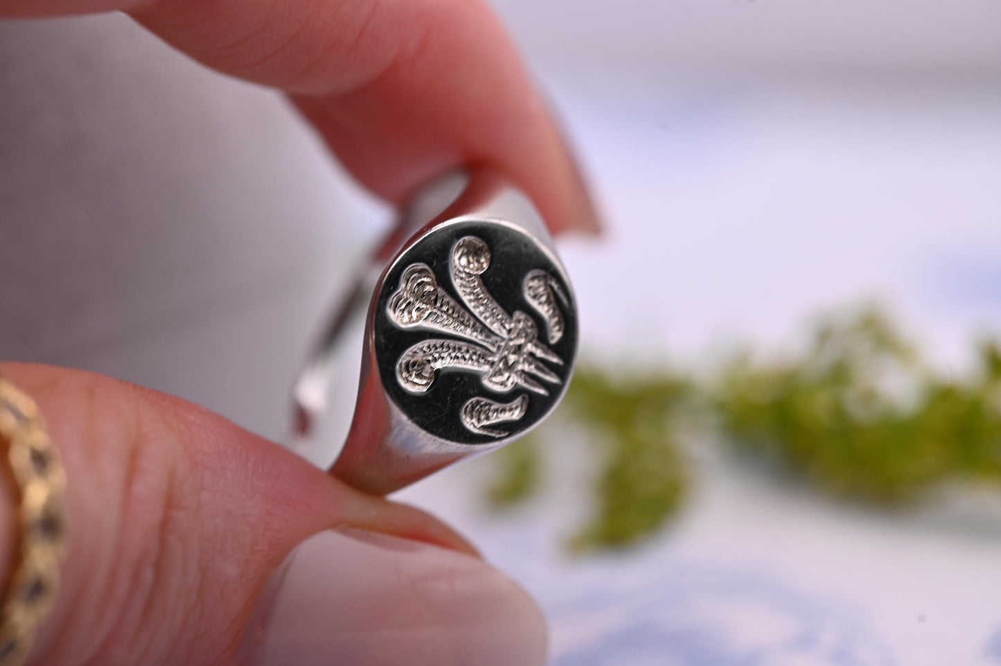 Sterling Silver Welsh Signet Ring, Wales Cymru Round Signet Ring Jewellery, Celtic Welsh Feather Ring. Jewellery Christmas Gift / UK: T