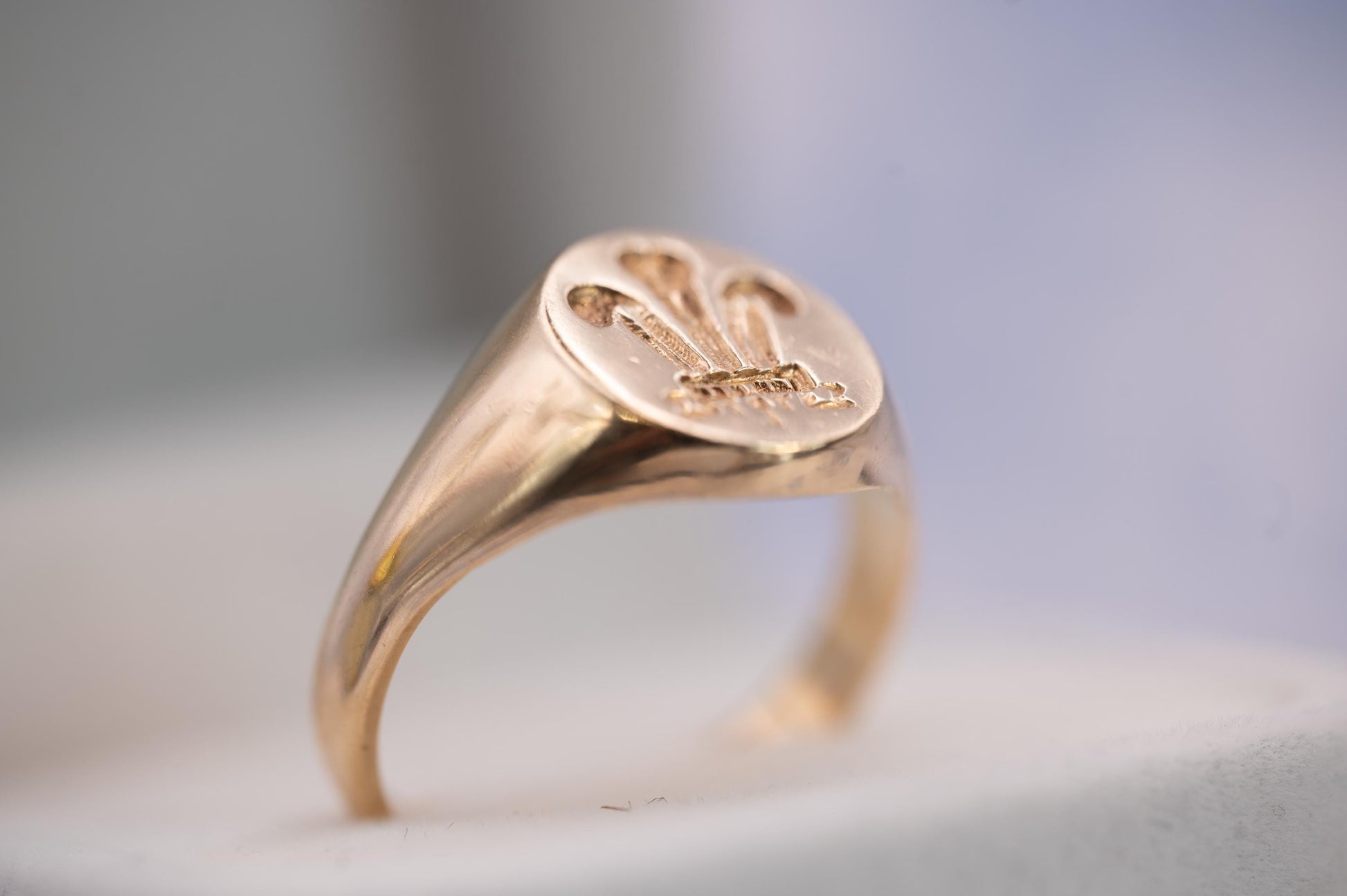 Vintage 9ct Yellow Gold Welsh Feathers Signet Ring, Size US 11.5